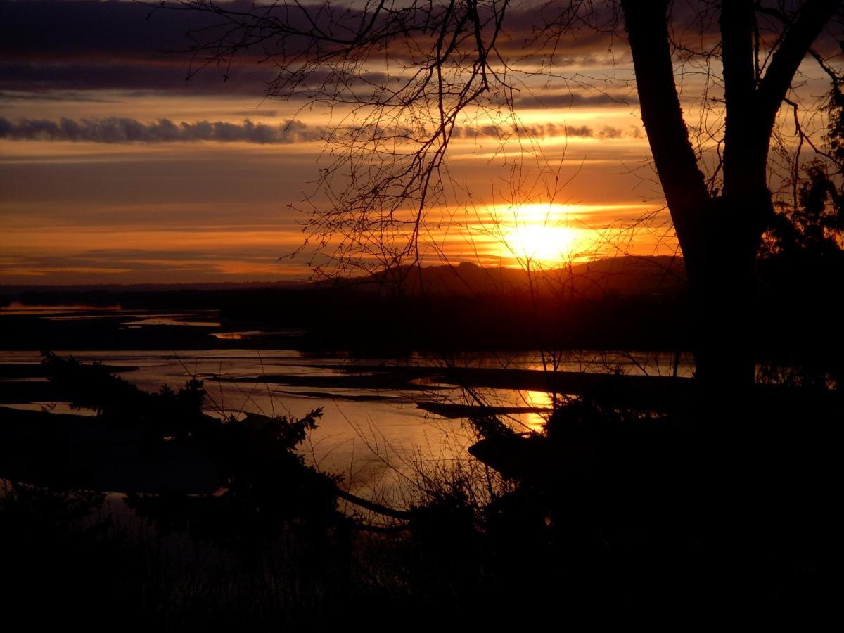 The Fraser River'S Edge B&B Lodge チリワック エクステリア 写真